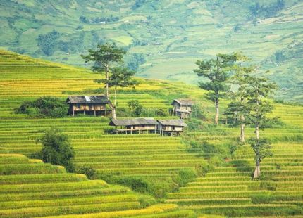 vietnam classic tours 1